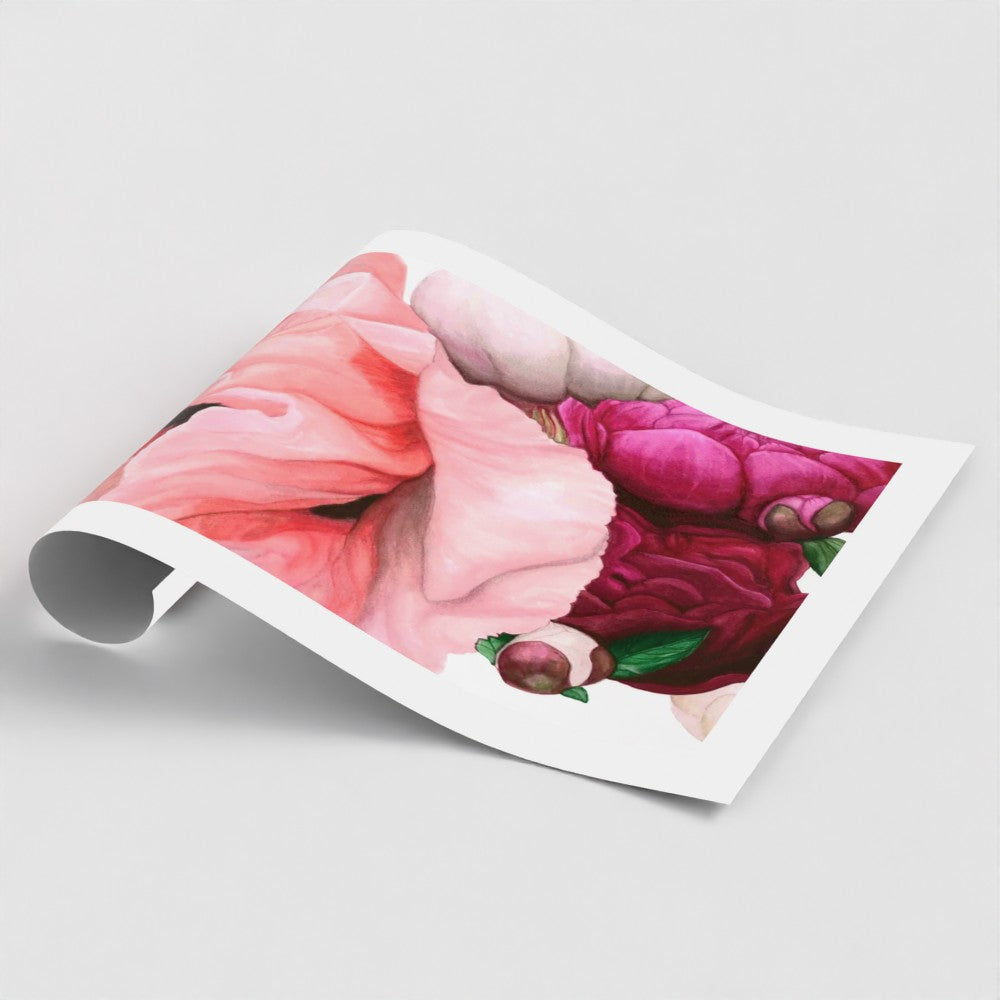 Poppy & Peony I