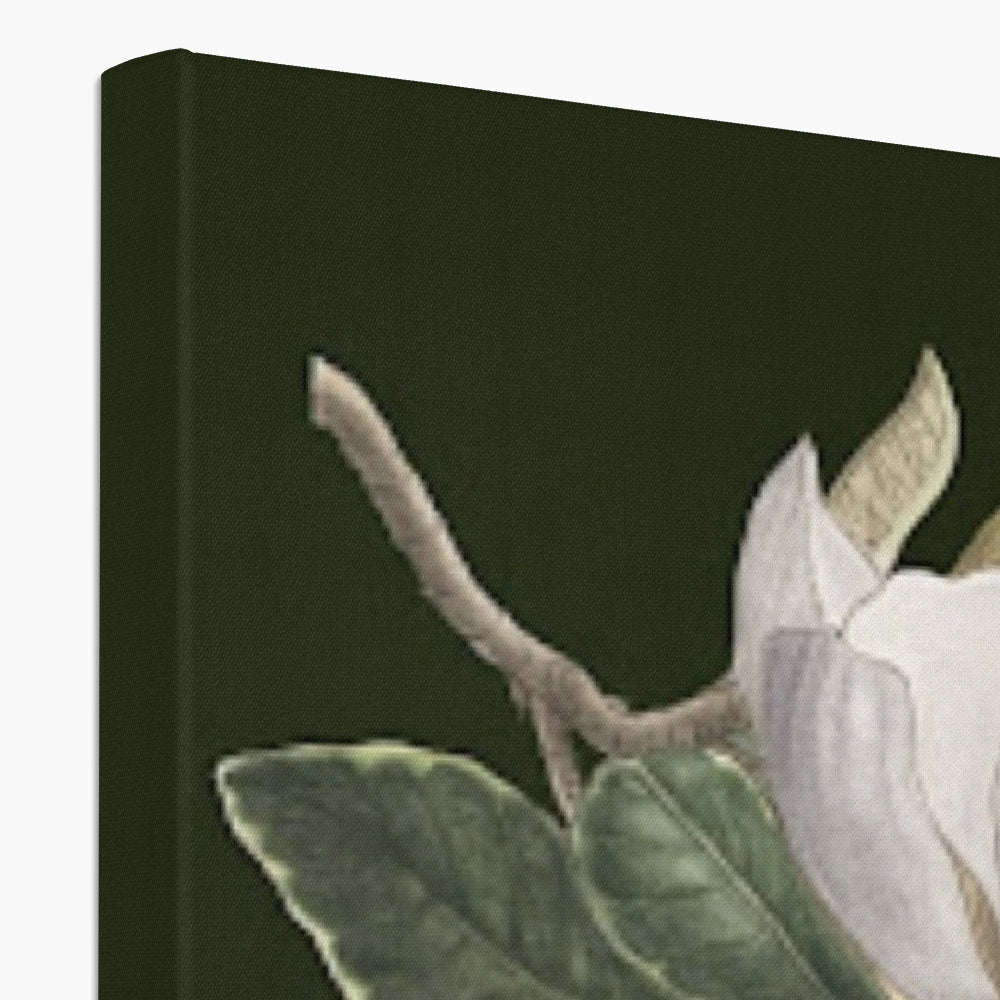 Magnolia Forest Green – Cindy Pretorius
