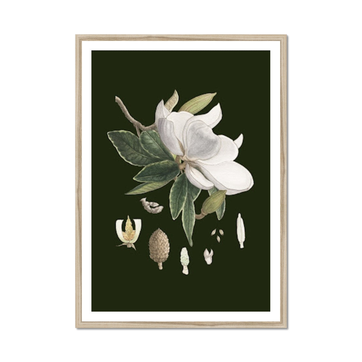 Magnolia Forest Green – Cindy Pretorius